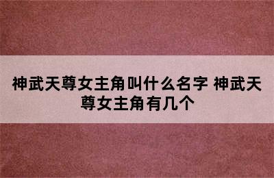 神武天尊女主角叫什么名字 神武天尊女主角有几个